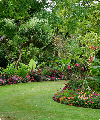 Landscaped Gardens