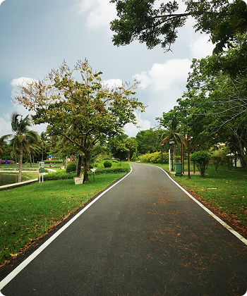 Wide Asphalted Roads