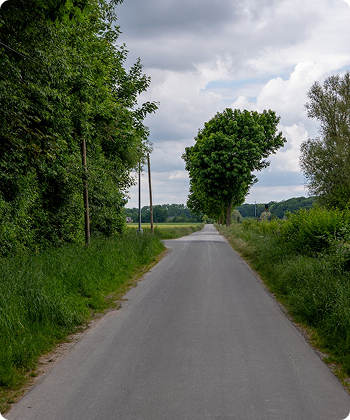 Wide, Well-Paved Roads