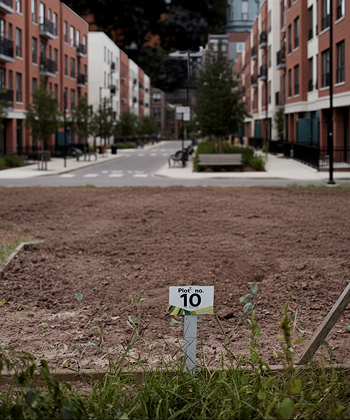 Clearly marked plots
